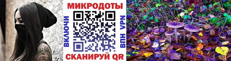 Галлюциногенные грибы MAGIC MUSHROOMS  Купить где  Зеленоградск 